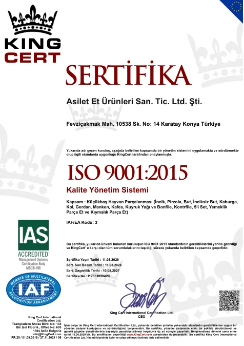 ISO 9001:2015 belgesinin önizlemesi